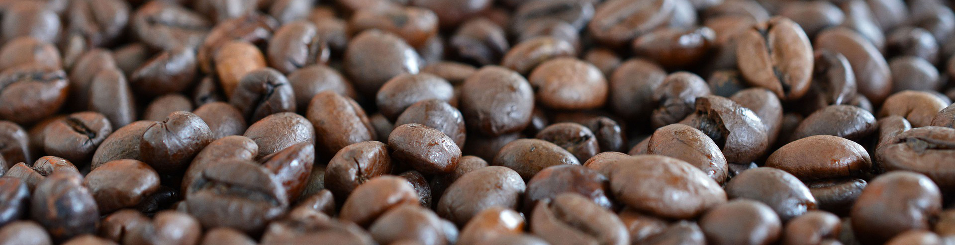 bean1Bild
